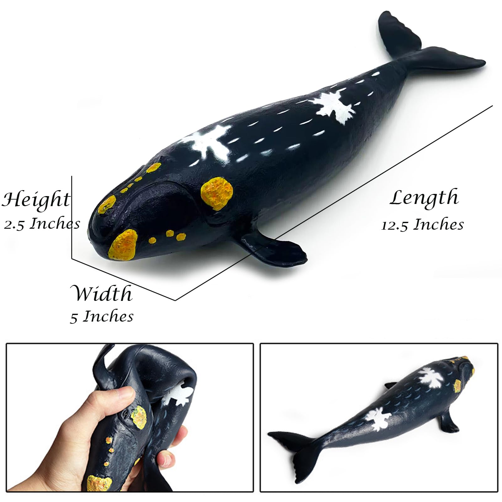 Amazon.co.jp: Momoplay Sea Life おもちゃモデル ソフトスクイーズ